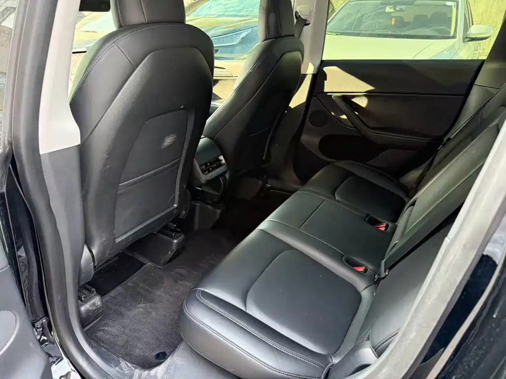 Tesla Model Y — миниатюра 3