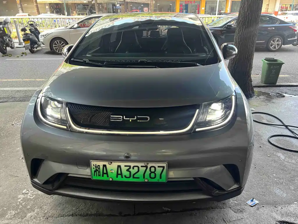 BYD Dolphin — миниатюра 2
