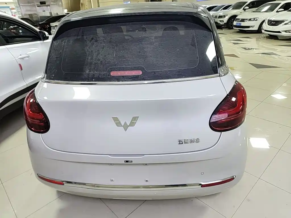 Wuling Binguo 2023 333km +