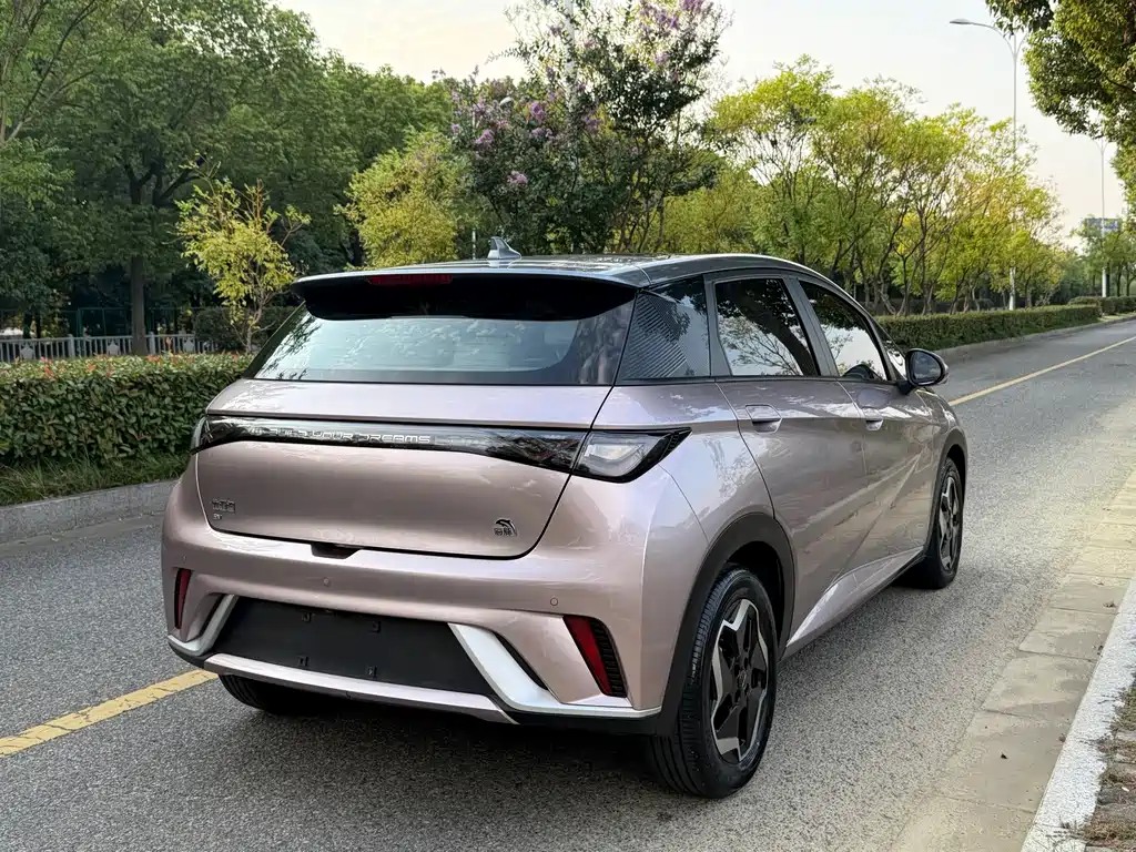 BYD Dolphin — миниатюра 9