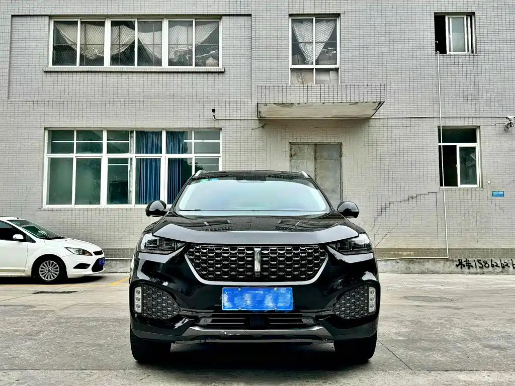 WEI PAI WEI BRAND VV6