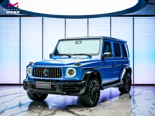 MERCEDES-BENZ G CLASS