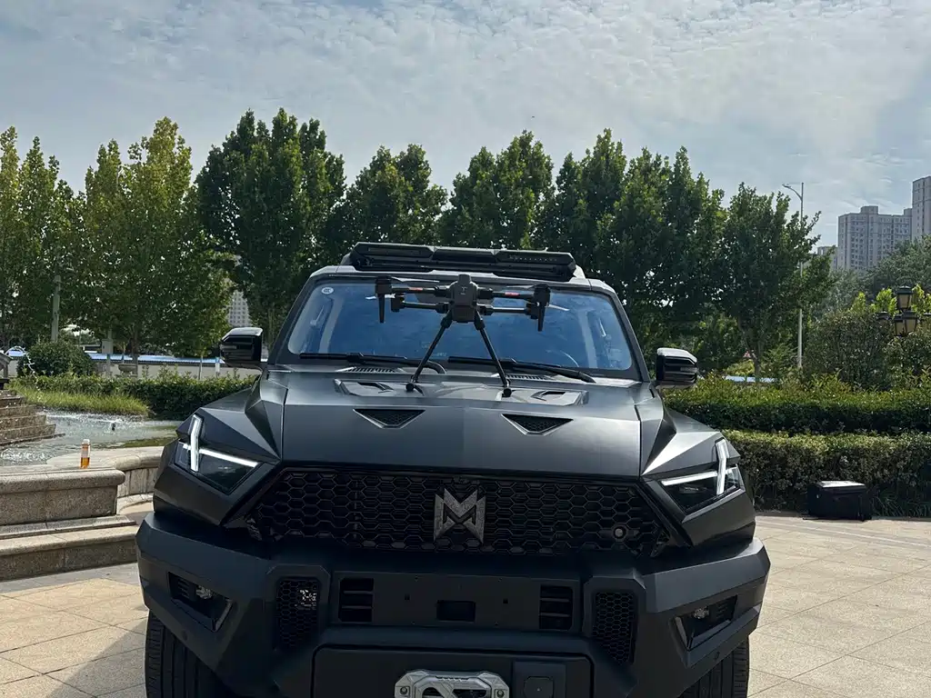 Mengshi Mengshi 917 — миниатюра 2