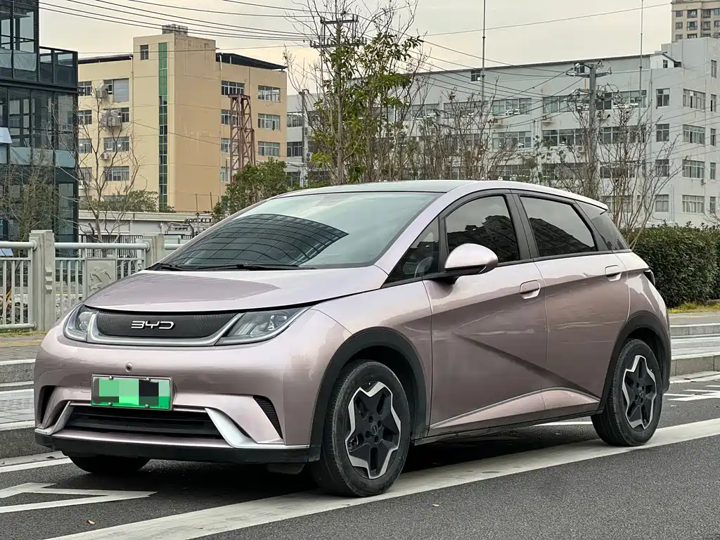 BYD DOLPHIN