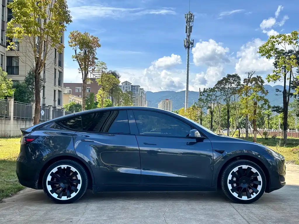 Tesla Model Y — миниатюра 8