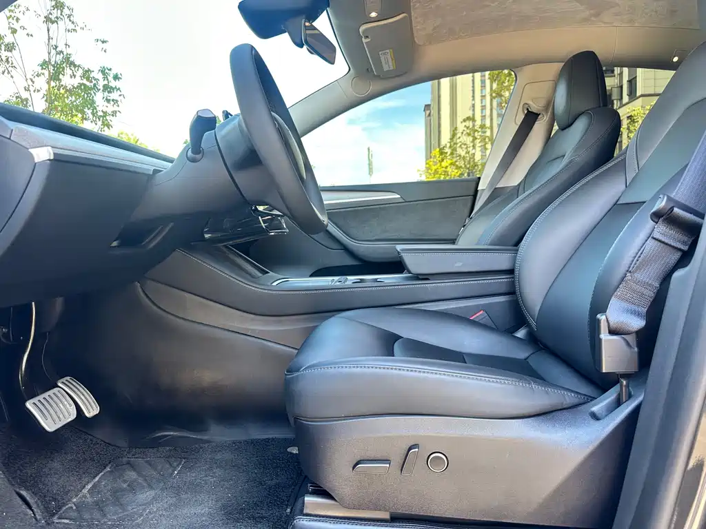 Tesla Model Y — миниатюра 4