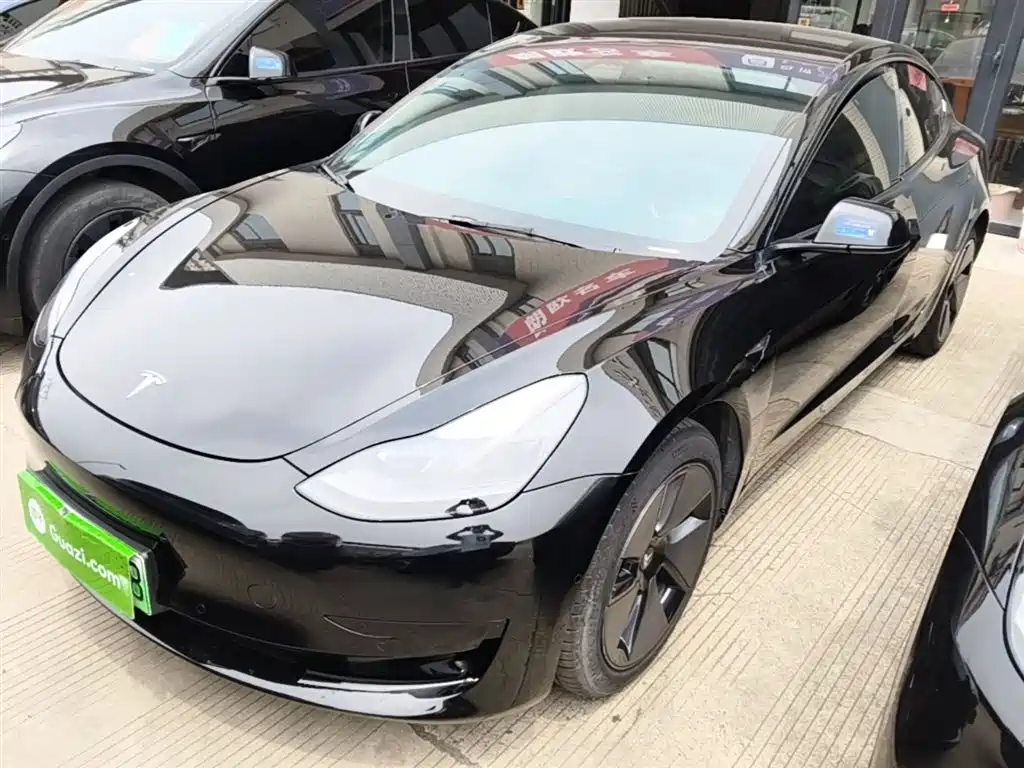 Tesla Model 3 2021