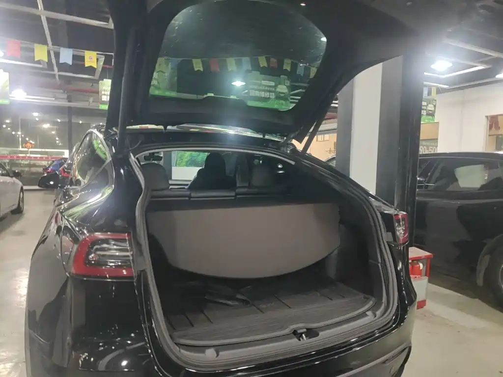 Tesla Model Y — миниатюра 19