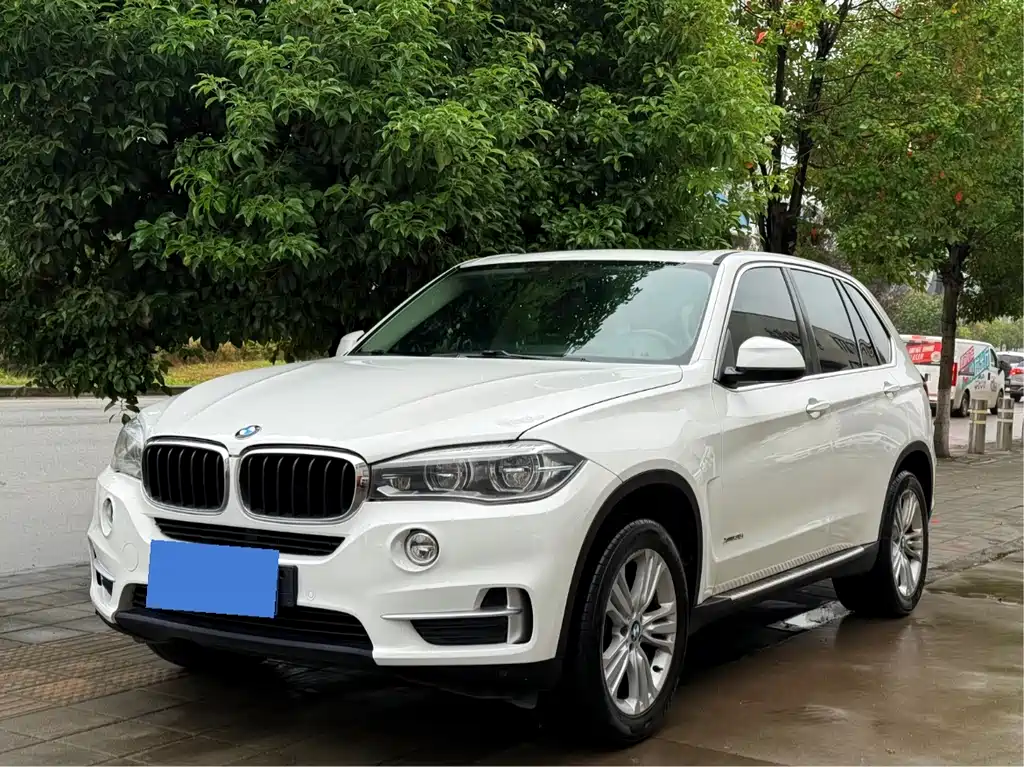 BMW X5 (Import) 2017