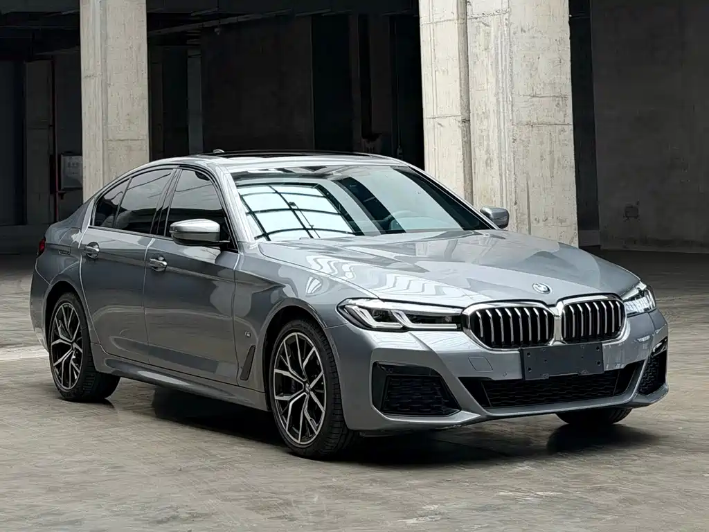 BMW 5 Series (Import) — миниатюра 2