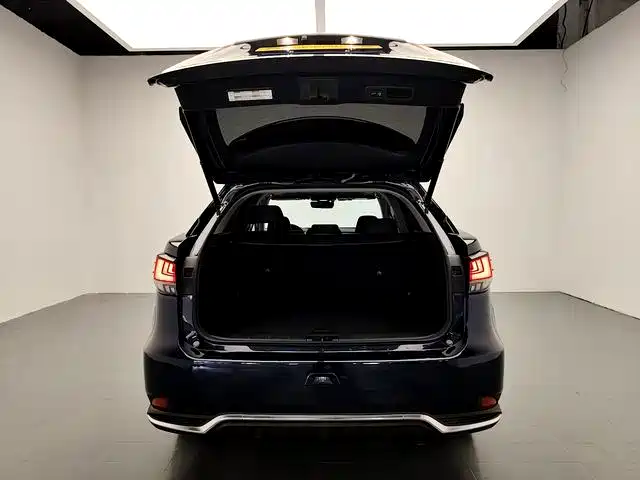 Lexus RX — миниатюра 15