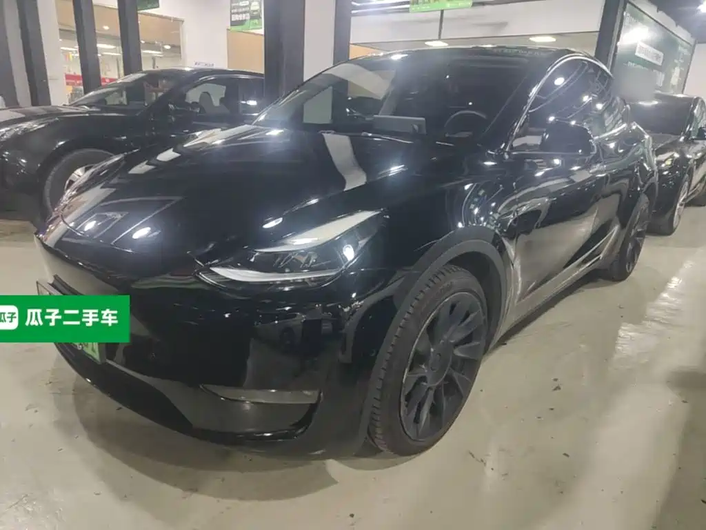 Tesla Model Y — миниатюра 2
