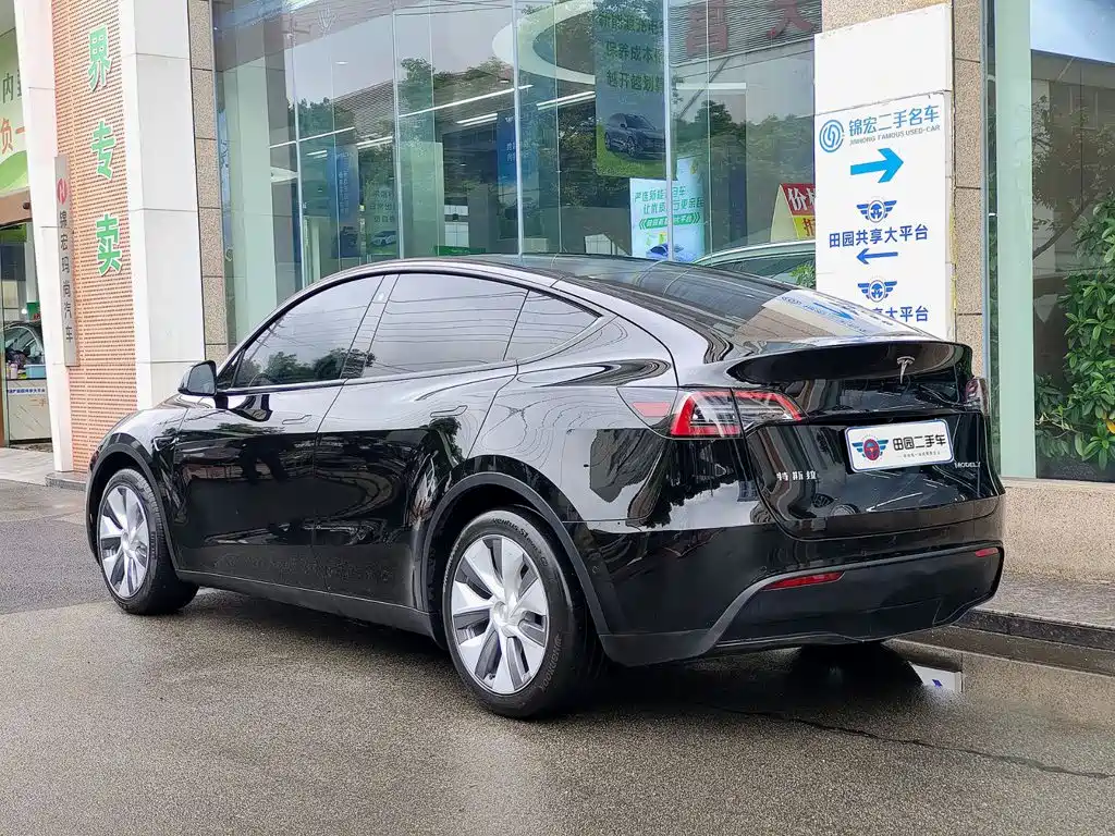 Tesla Model Y — миниатюра 4