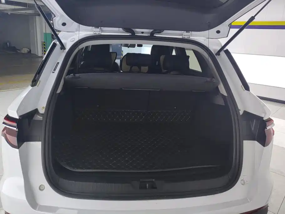 BYD Pro — миниатюра 4