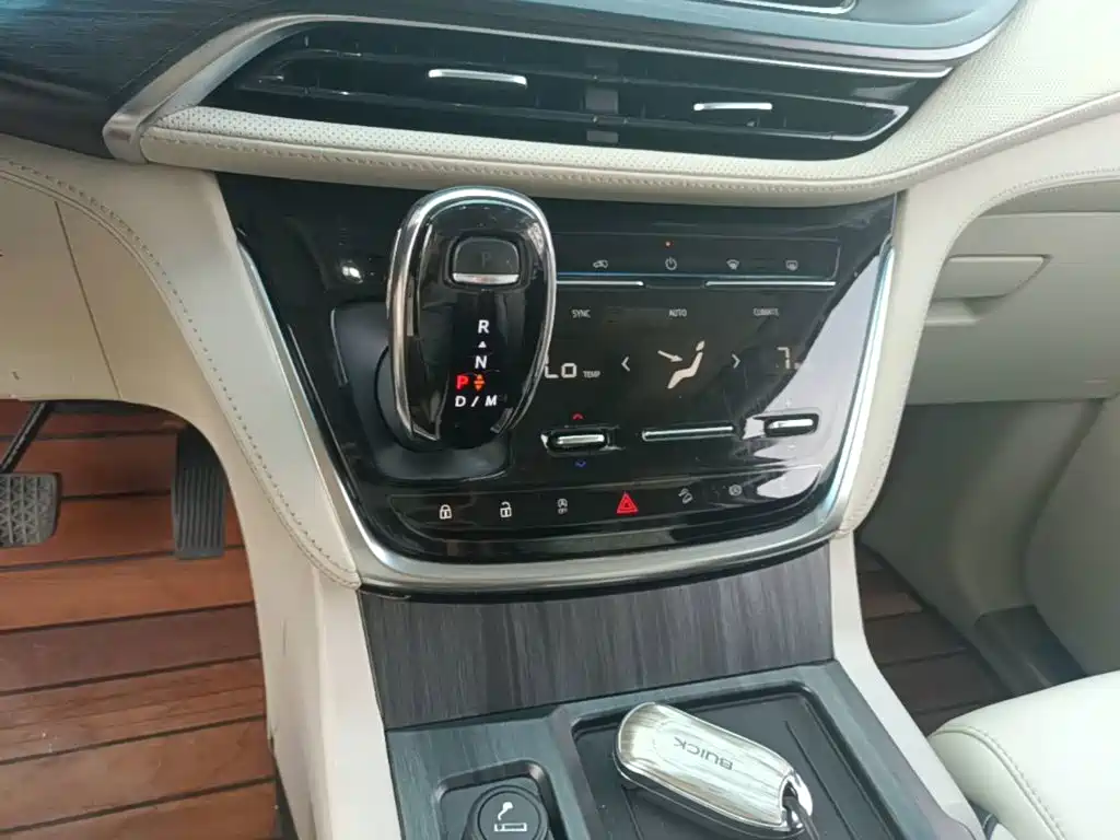 Buick GL8 — миниатюра 14