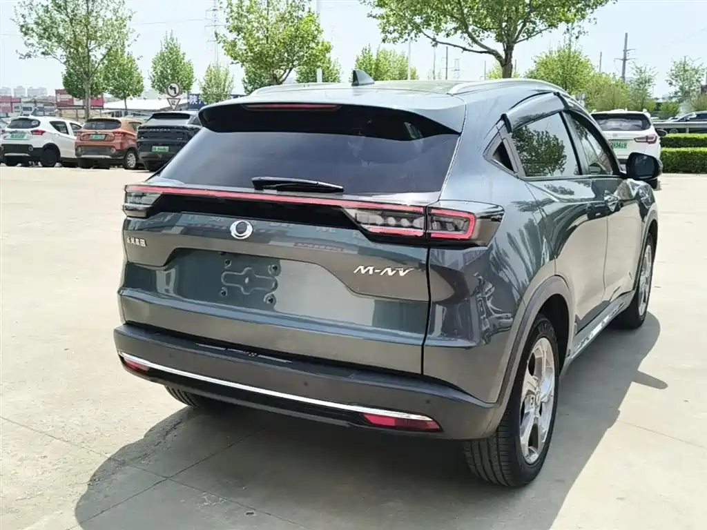 CIIMO M-NV — миниатюра 7