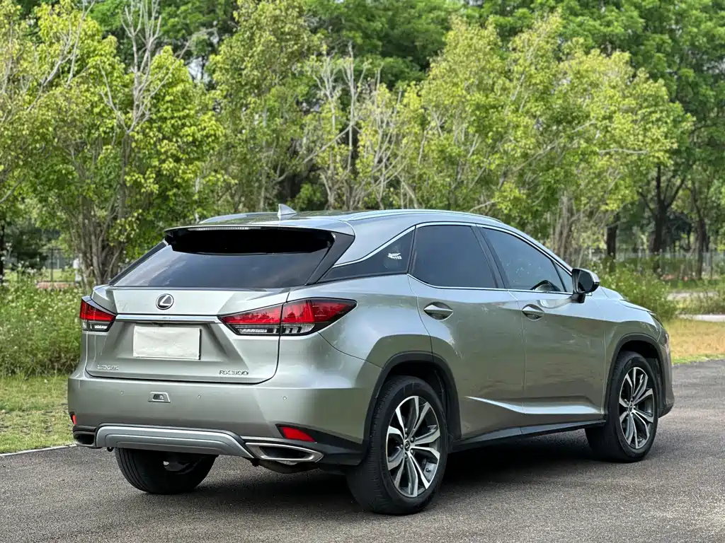 Lexus RX — миниатюра 19