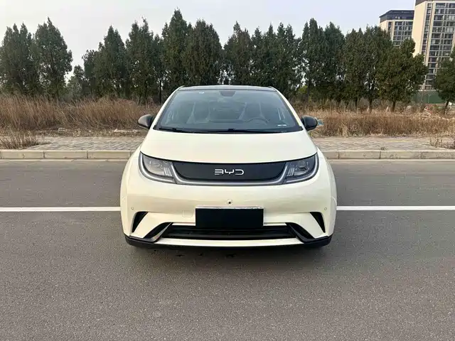 BYD DOLPHIN 2025