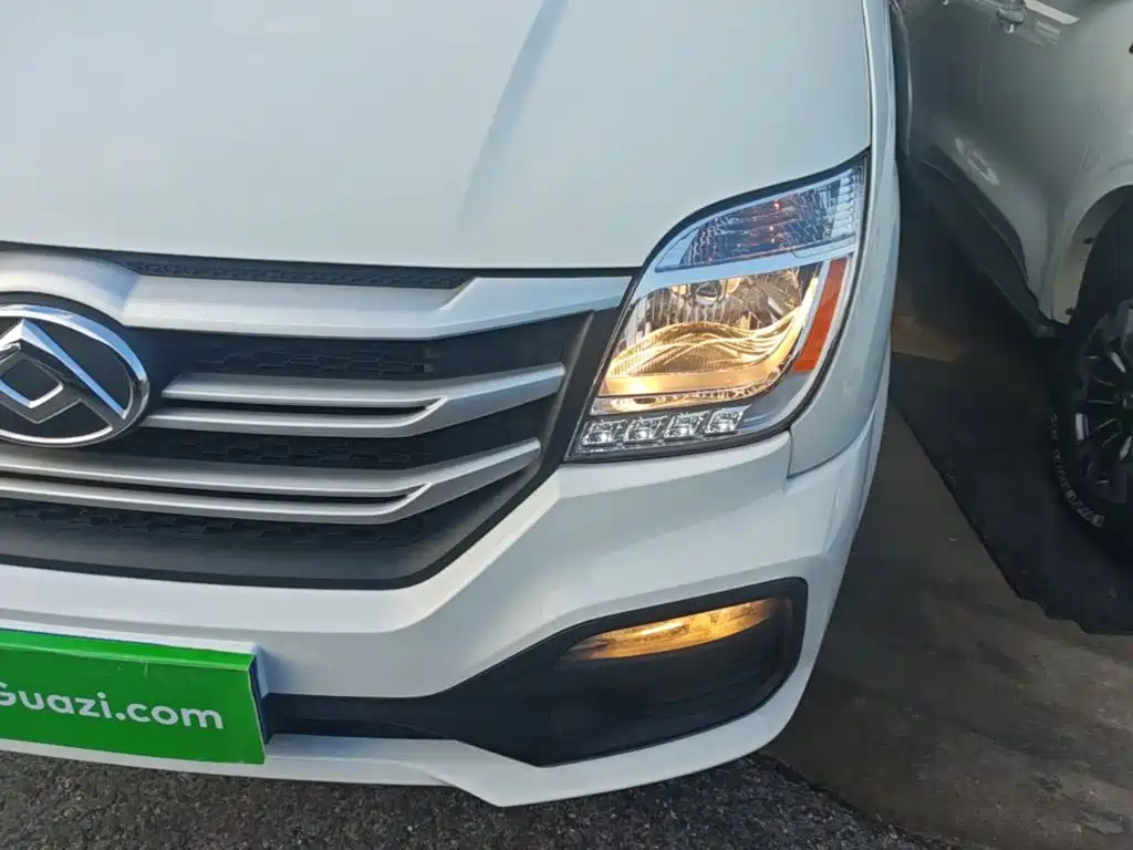 MAXUS V80 — миниатюра 24