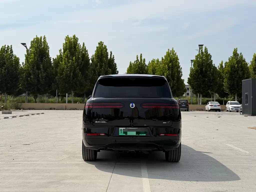 Denza Denza N8L — миниатюра 8