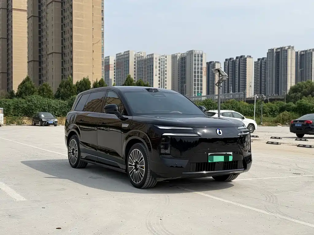 Denza Denza N8L — миниатюра 3