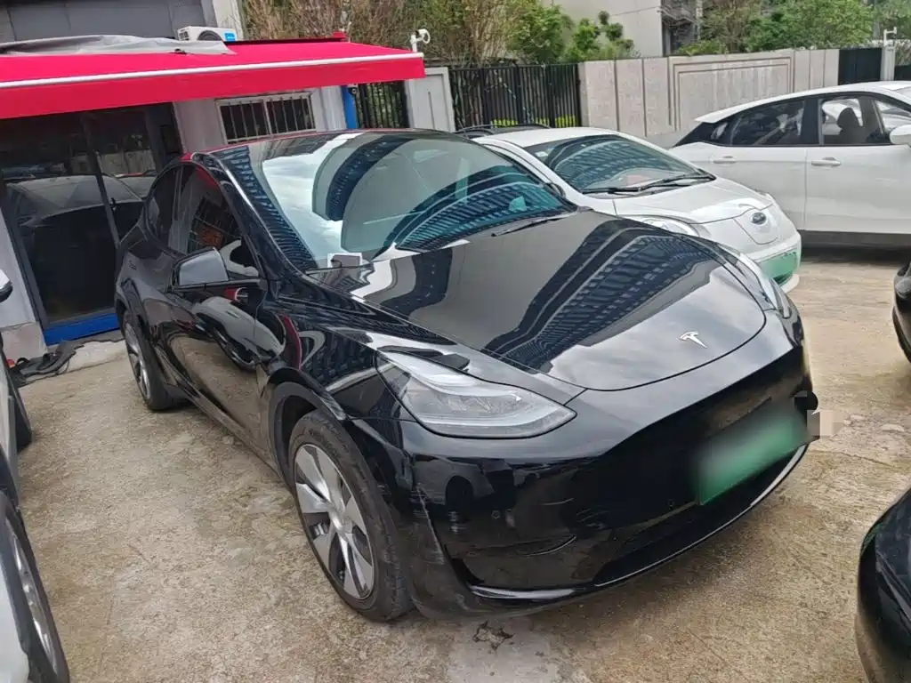 Tesla Model Y — миниатюра 4