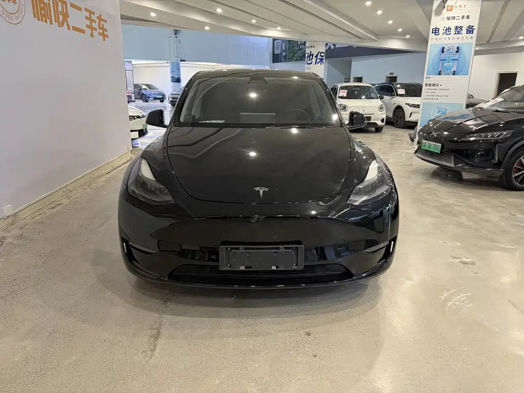 Tesla Model Y — миниатюра 2