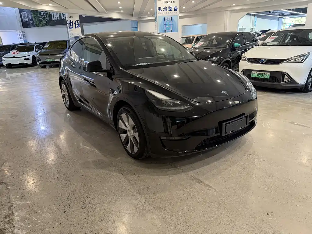 Tesla Model Y — миниатюра 3