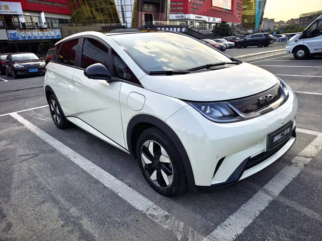 BYD Dolphin — миниатюра 3