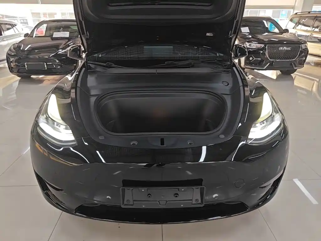 Tesla Model Y — миниатюра 20