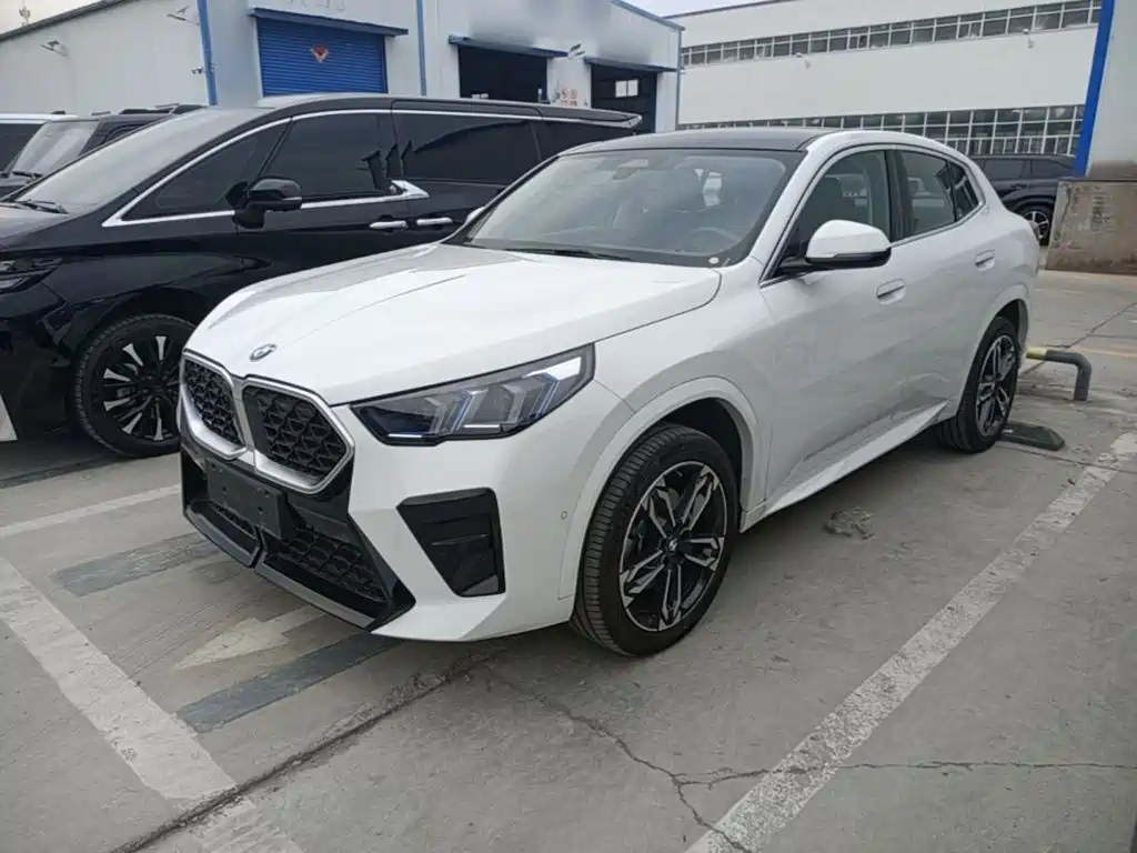 BMW X2 (Import) — миниатюра 2
