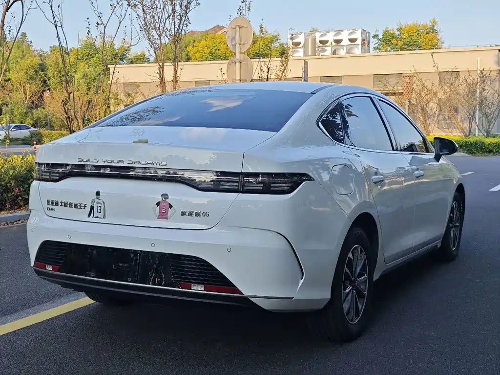 BYD Destroyer 05 — миниатюра 16