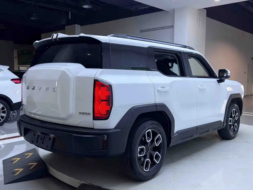 Haval Cool Dog — миниатюра 6