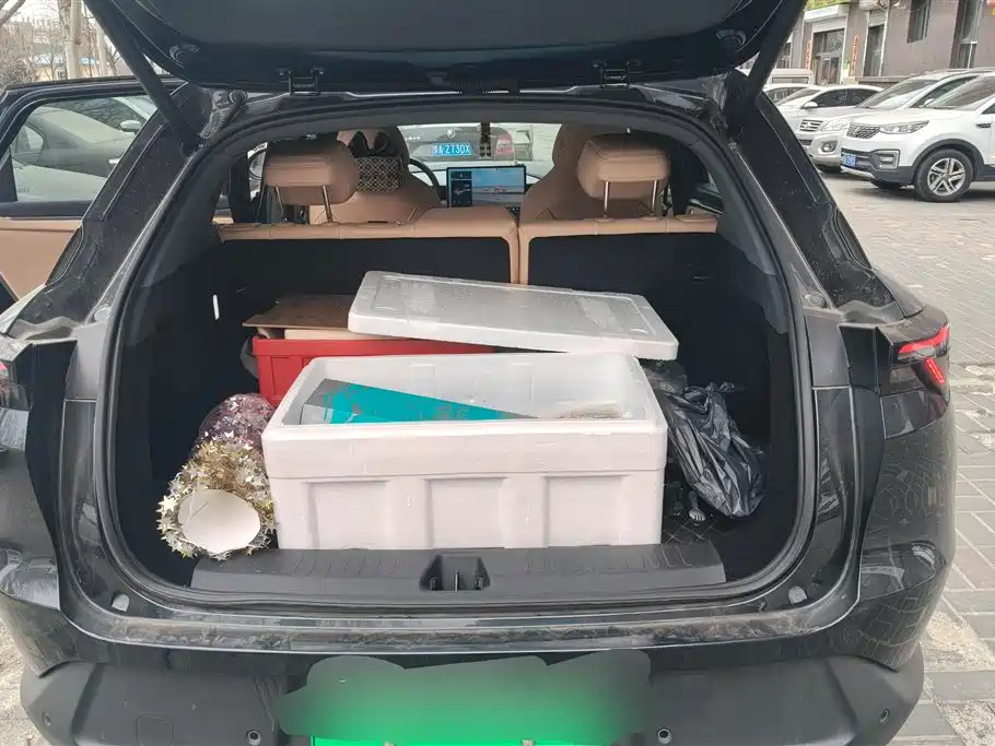 ARCFOX EXTREME FOX POLAR FOX ALPHA T5