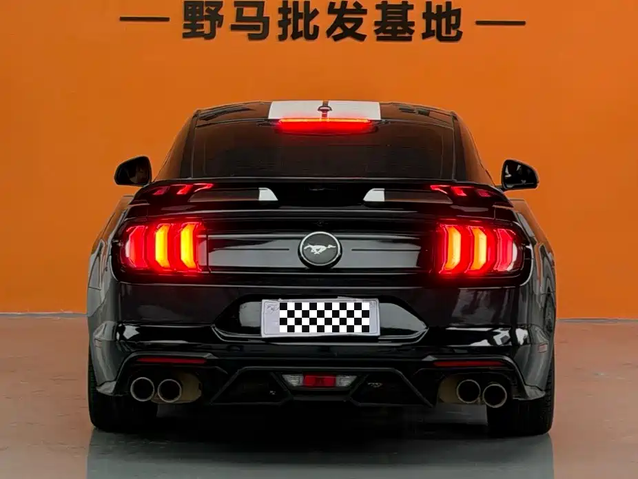 Ford Mustang — миниатюра 5