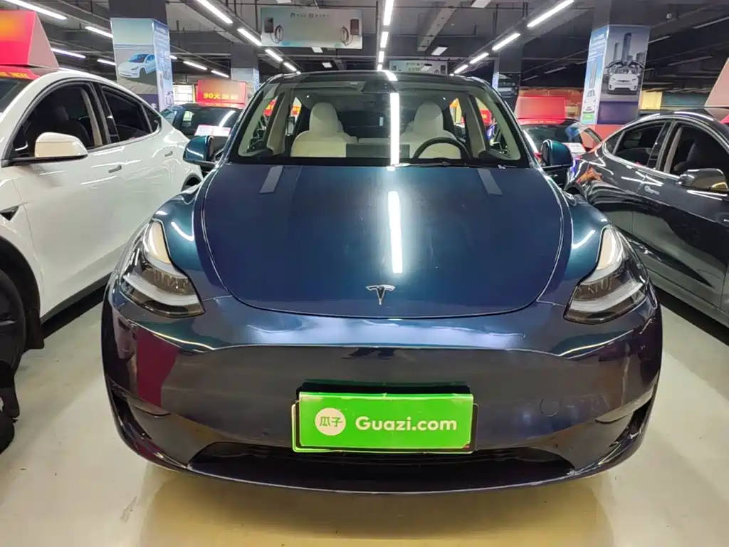 Tesla Model Y — миниатюра 3