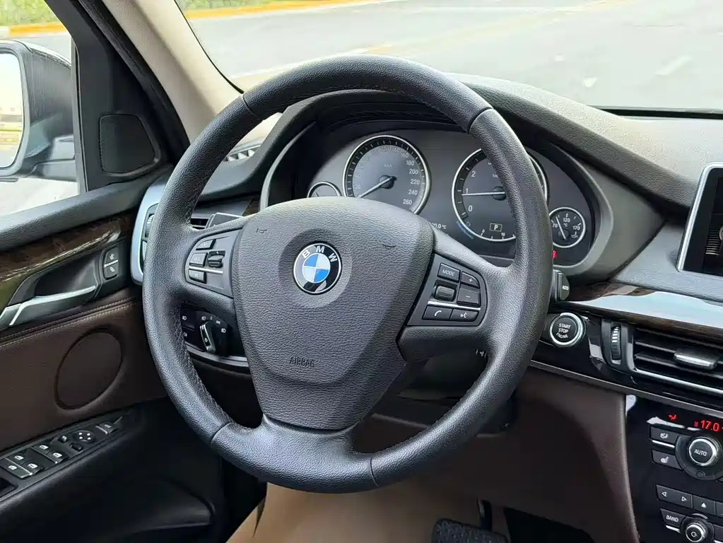 BMW X5 (Import) — миниатюра 10