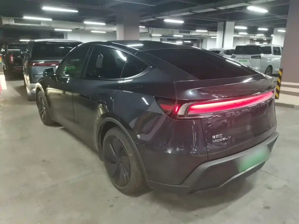 Tesla Model Y — миниатюра 5