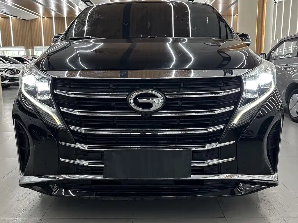GAC Motor Trumpchi M8 — миниатюра 2