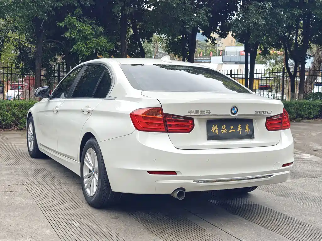 BMW 3 Series 320Li Super Joy Edition Fashion Type, фото 13
