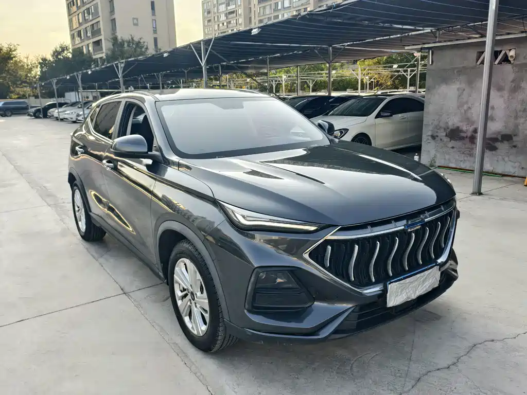 Oshan Oushang X5 — миниатюра 3