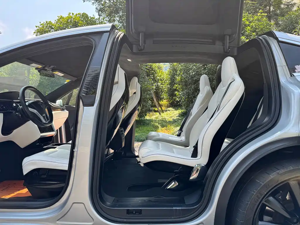 Tesla Model X — миниатюра 11