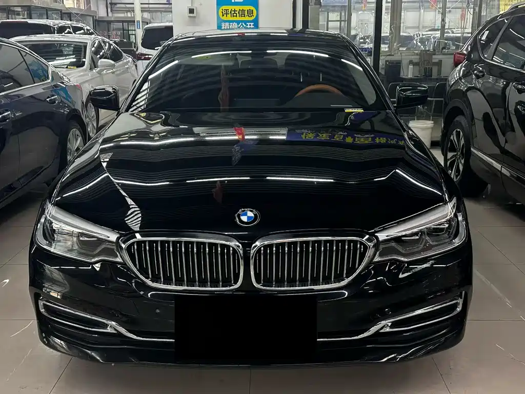 BMW 5 SERIES NEW ENERGY