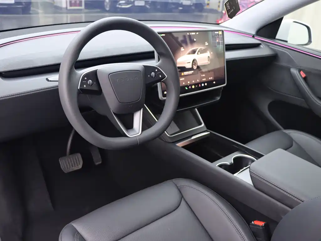 Tesla Model Y — миниатюра 6