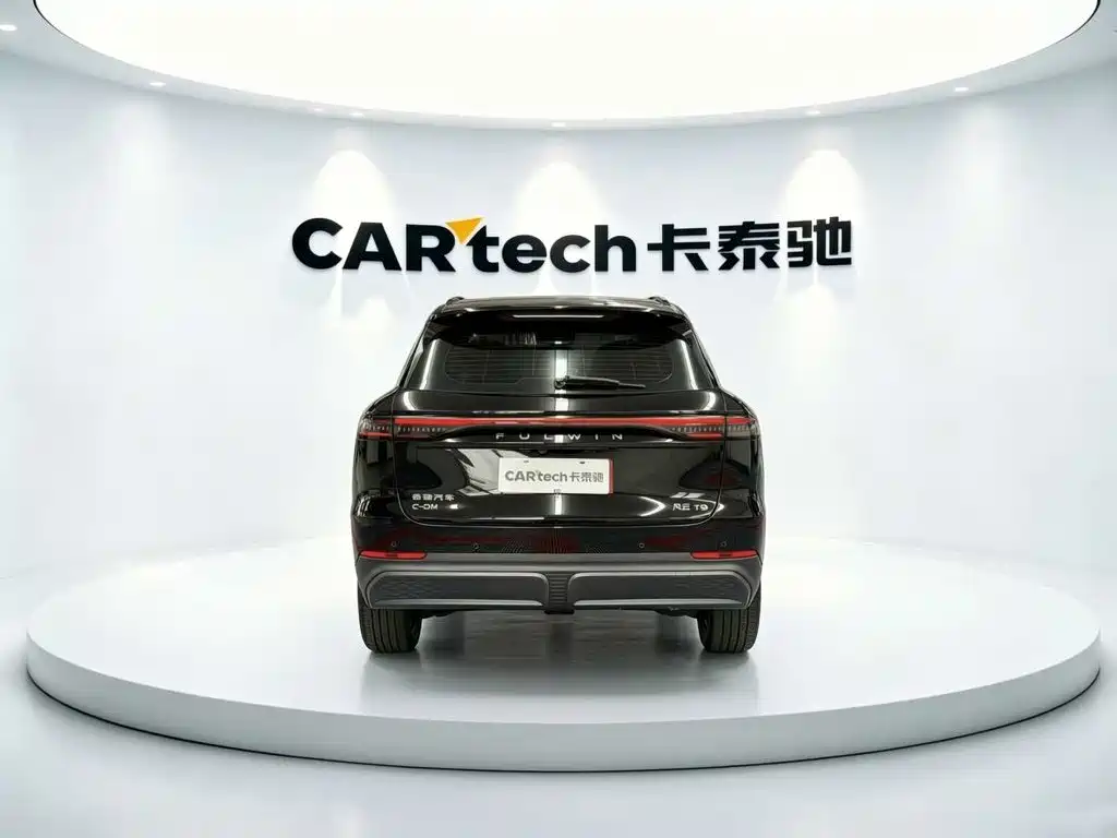Fulwin Fengyun T9 — миниатюра 4