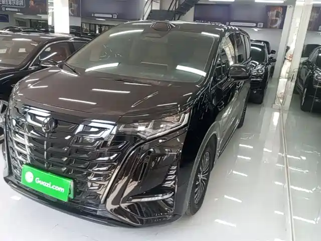 2025 Denza D9