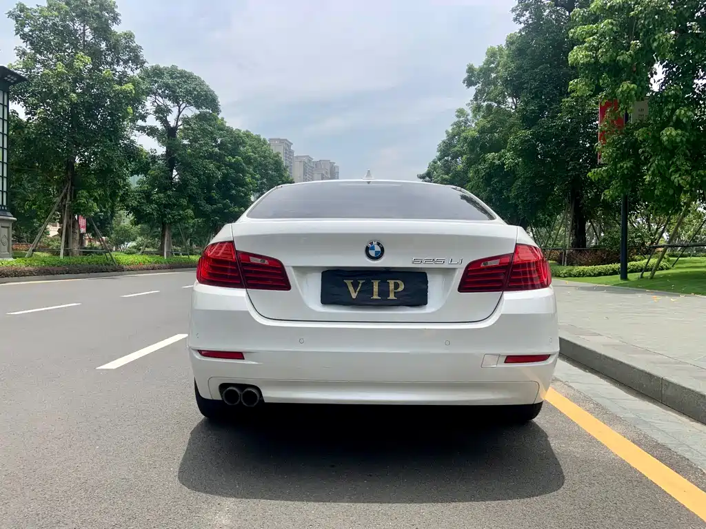 BMW 5 Series — миниатюра 5