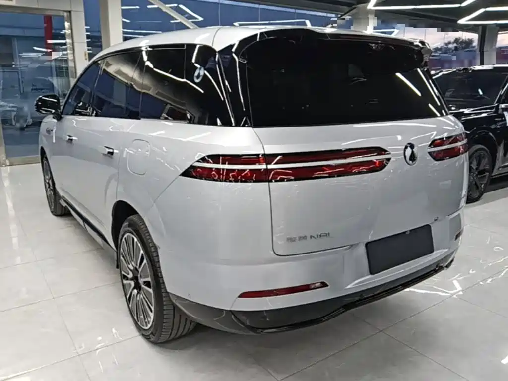 Denza Denza N8L — миниатюра 5