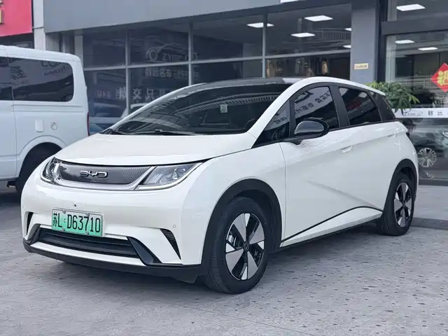 2023 BYD Dolphin