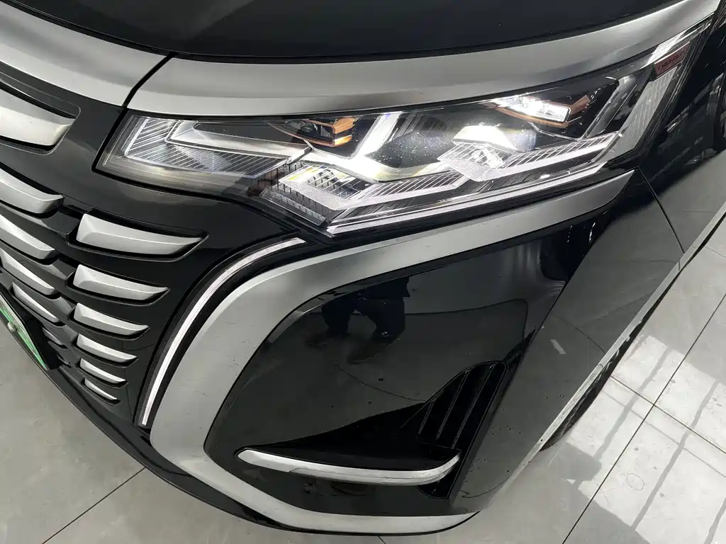 Denza Denza D9 — миниатюра 14